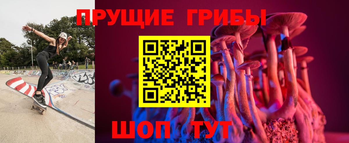 Владикавказ  Псилоцибиновые грибы мухоморы  Вход с VPN  Псилоцибиновые грибы мицелий 